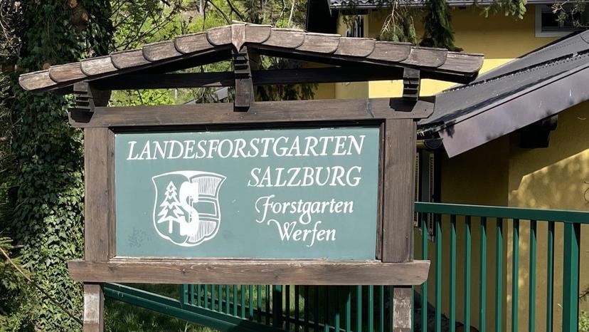 Im Landesforstgarten werden 32 Wohnungen wachsen