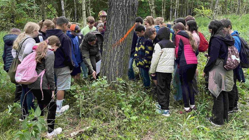 Waldchampions: Ab ins Abenteuer Wald!