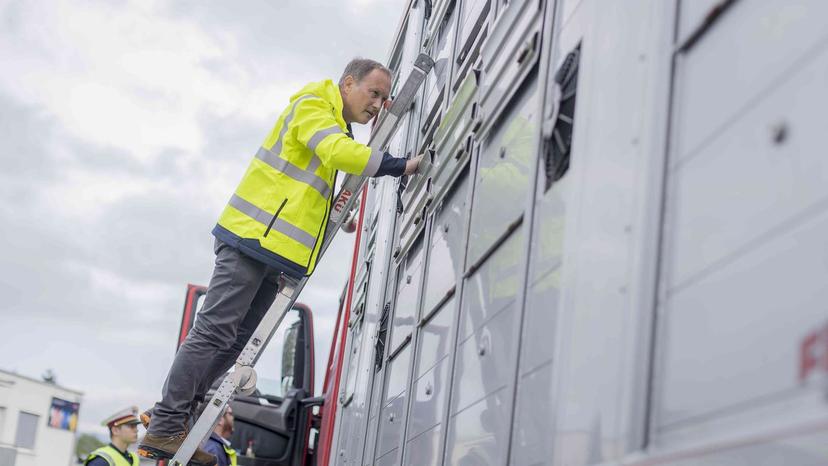 Schwerpunktkontrolle Tiertransporte