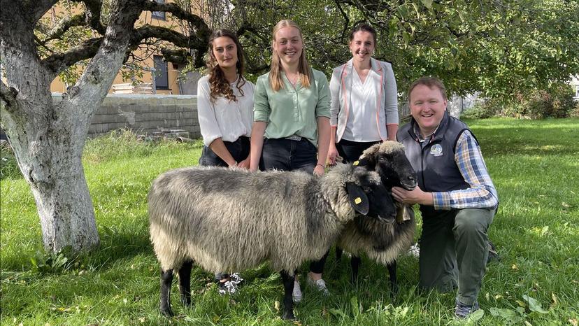 Schafwollprojekt Landwirtschaftsschule Bruck