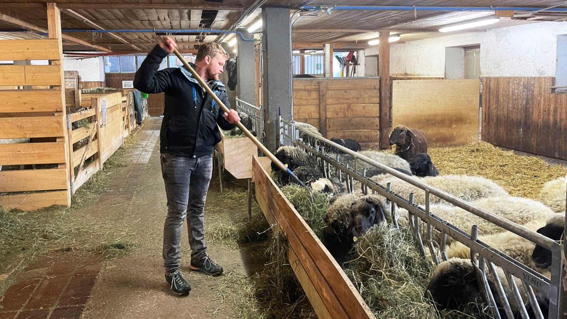 Sebastian Gruber: Der Melker in der LFS Bruck