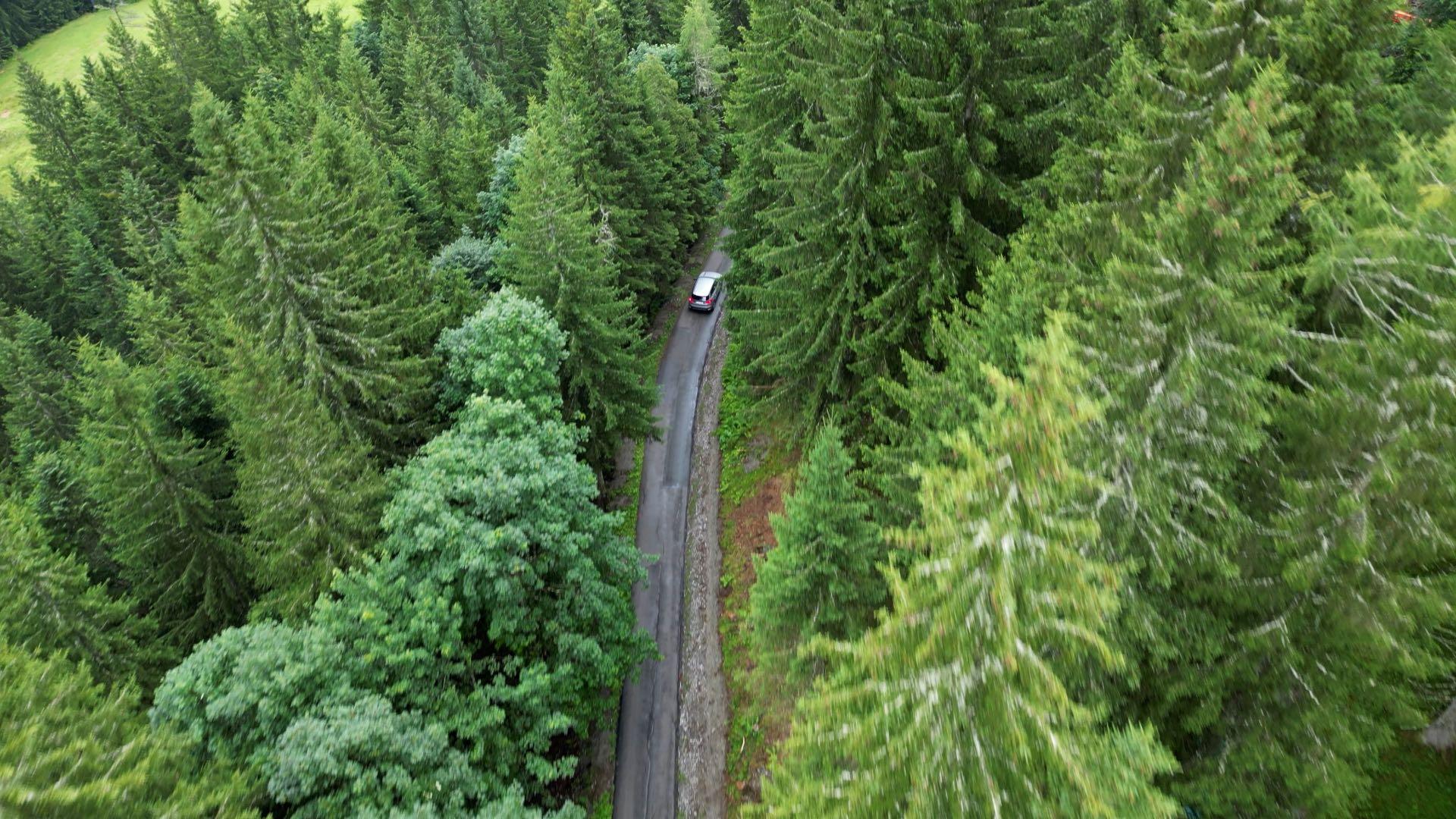 Neuer Güterweg Richlegg in Filzmoos