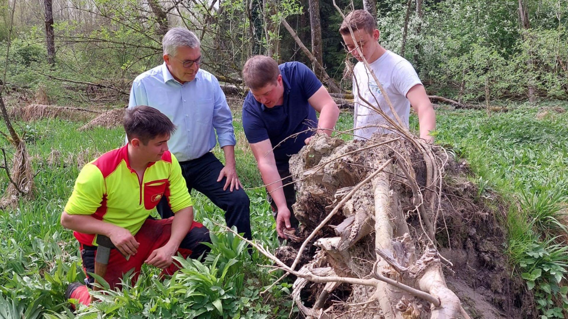 Schüler helfen bei Aufforstung der St. Georgener Au