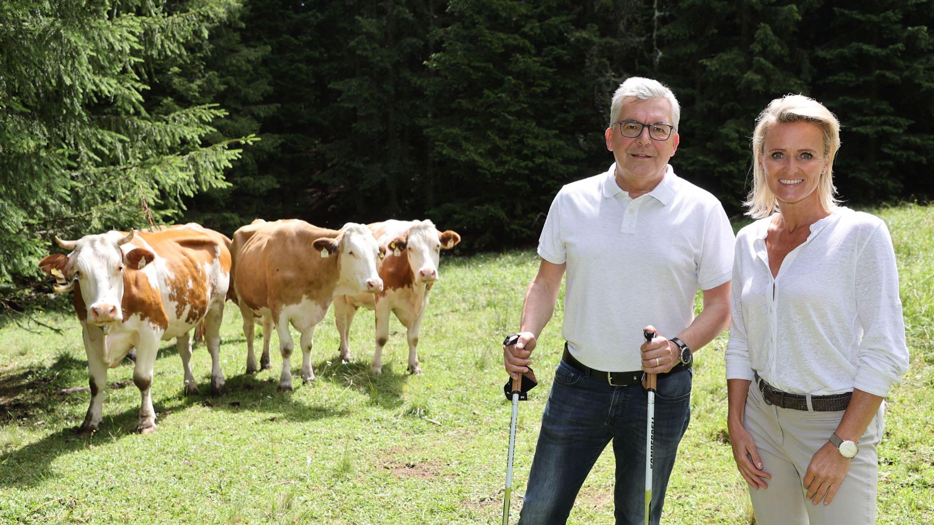 Respektiere deine Grenzen: Abstand zu den Almtieren