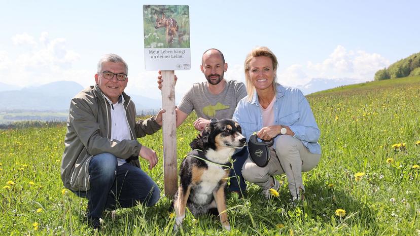 Respektiere deine Grenzen: Mit dem Hund unterwegs