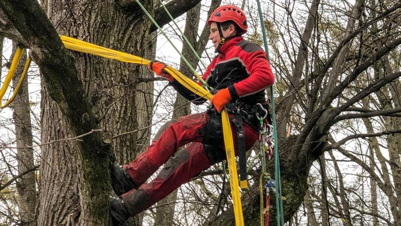 Achtung, Baumkontrolle!