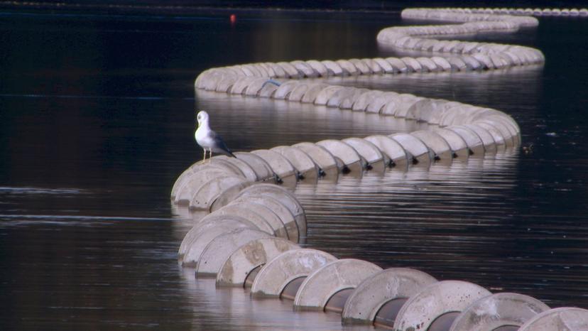 High-Tech-Kanal durch den Fuschlsee
