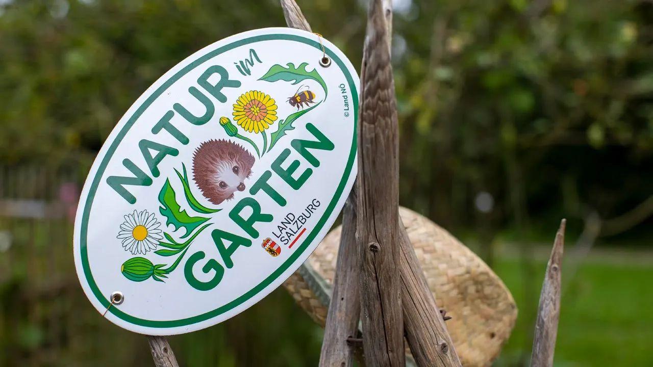 Start in die Gartensaison