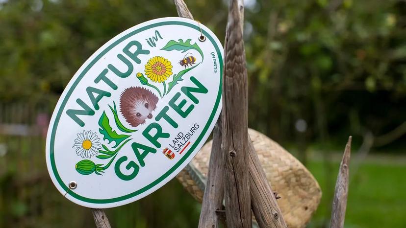 Start in die Gartensaison