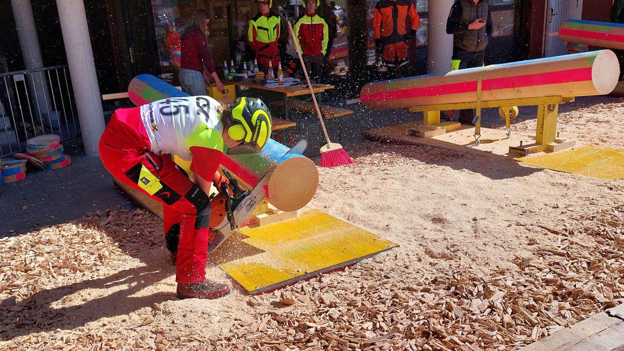 Staatsmeisterschaft Waldarbeit Poster