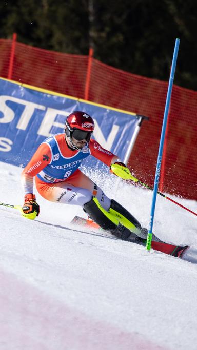Saalbach 2025 Poster