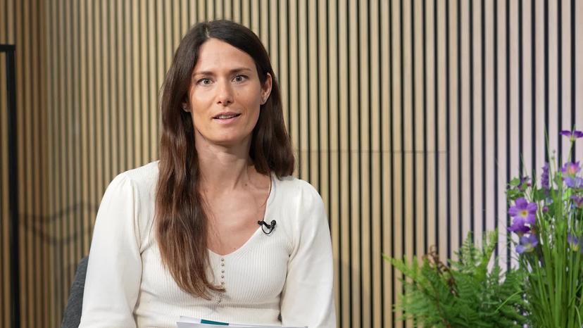 Energieberatung: Unternehmen