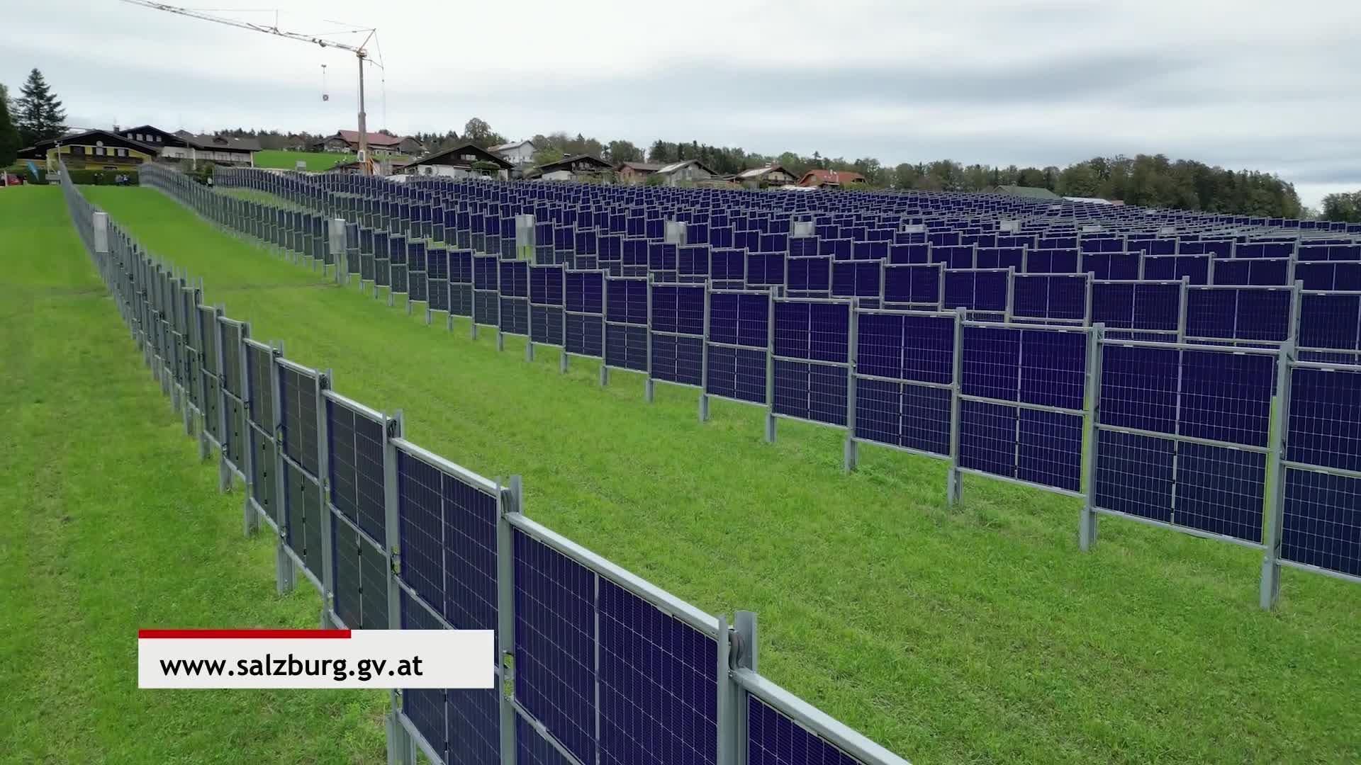 Sonnenenergie von der Kuhweide Poster