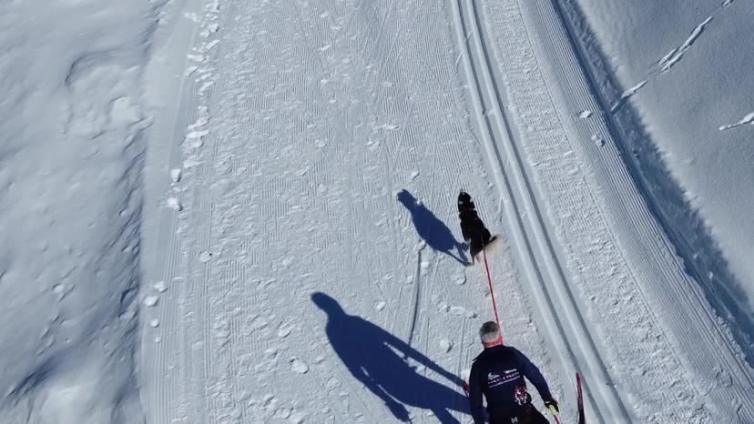 Respektiere deine Grenzen: Tierische Loipe